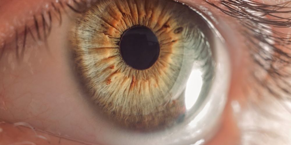 macro eye